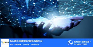 微盟城系統與微企邦網絡銷售 河東區城網絡服務咨詢全攻略